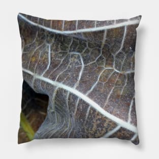 Withered Fig Leaves Autumn Fall texture macro 1 Pillow