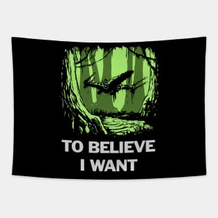 To believe I want Tapestry