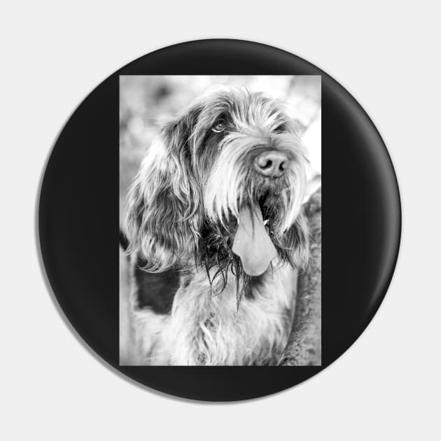 Nothing but love Spinone Pin by heidiannemorris