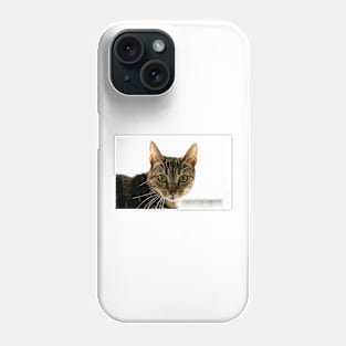 Tabby Mammy Phone Case