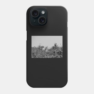 Bent Oaks Rookery Rockport Texas Phone Case