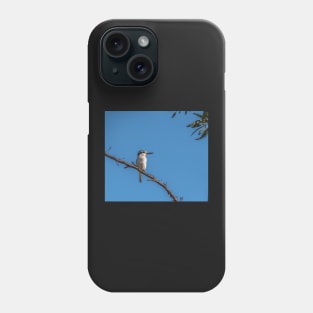 Red-backed Kingfisher Phone Case