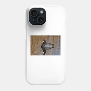 American Coot Phone Case