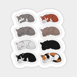 Sleeping Six Cats Magnet