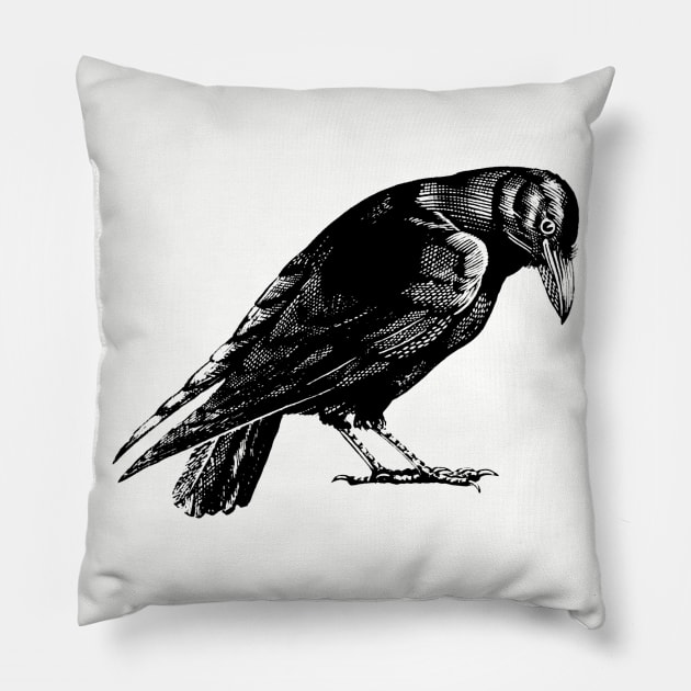 Curious Crow or Raven Pillow by Pixelchicken