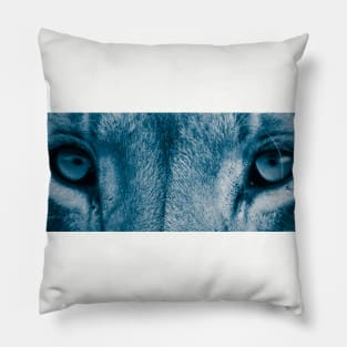 Lion eyes (Blue) Pillow