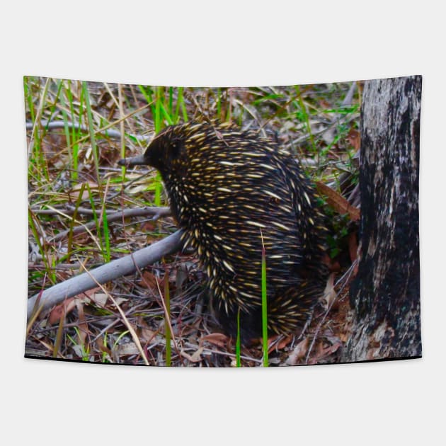 Echidna in the Bush! Tapestry by Mickangelhere1