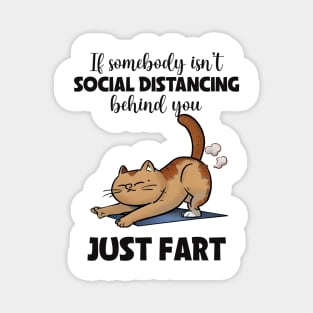 Funny Cat Jokes Magnet