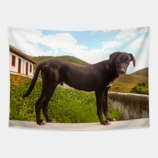 The farmer dog Tapestry