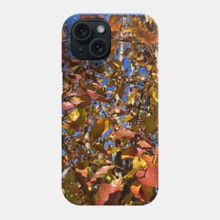 Late Autumn Pear Tree Phone Case