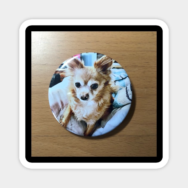 Natcho sur badge Magnet by JacyntheGag