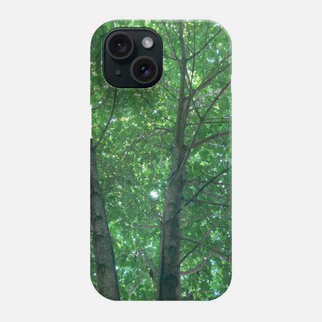 Up a tree Phone Case by Amanda1775