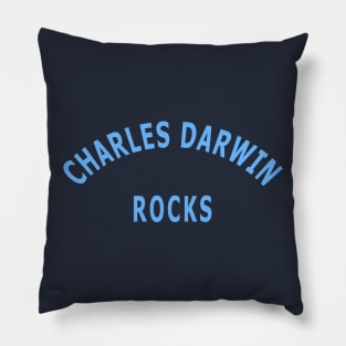 Charles Darwin Rocks Pillow