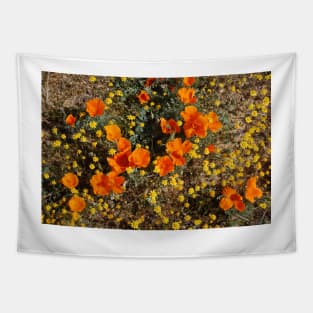 Nature, Wildflowers, Flowers, California, Poppies Tapestry