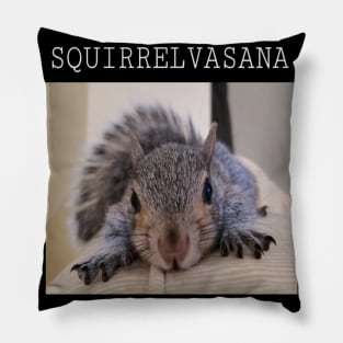 Squirrel Yoga Pillow