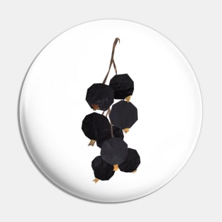 blackcurrants Pin