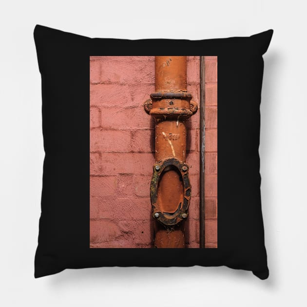 Brown Pillow by fotoWerner