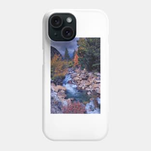 Autumn on Chalk Creek Phone Case