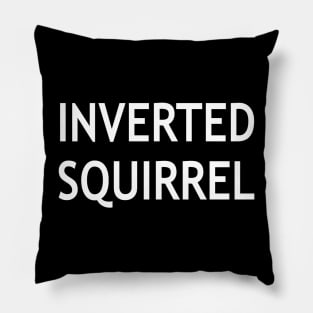 Inverted Squirrel Pillow