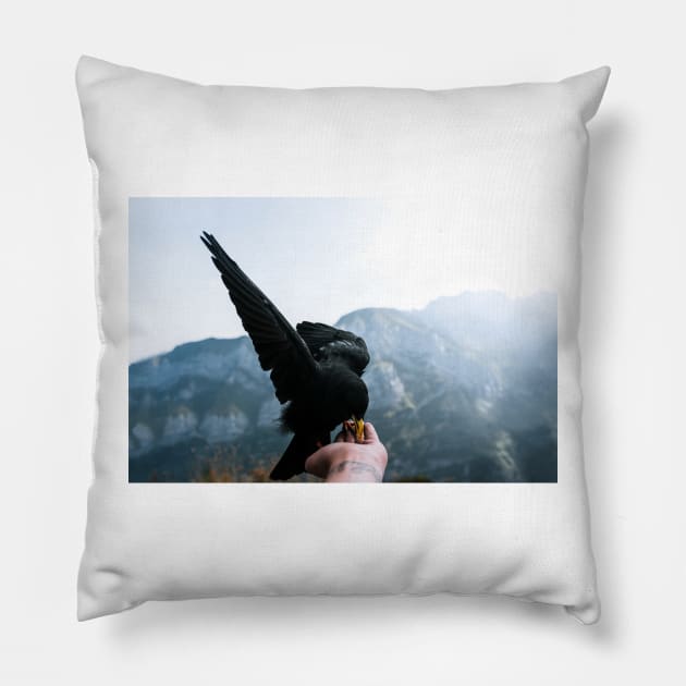 Flying Mountain Bird - Wildlife Photography Pillow by regnumsaturni