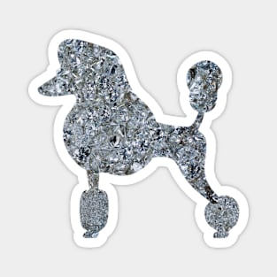 Poodle Diamonds Magnet