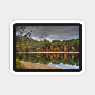 Walden Pond Fall Foliage Concord MA Magnet