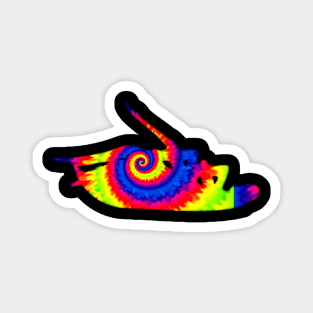 cockroaches Tie Dye Magnet