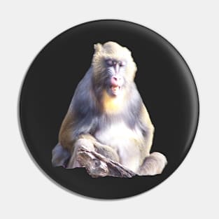 Mandrill Pin