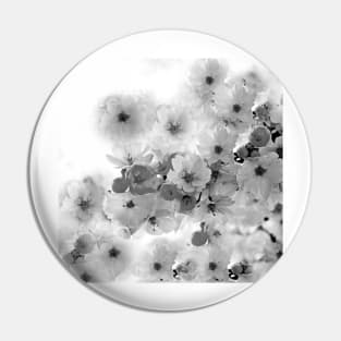 CHERRY BLOSSOMS IN BLACK AND WHITE Pin