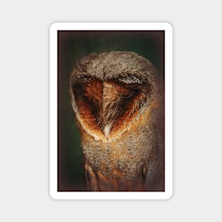 Black Barn Owl Magnet