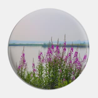 USA. Alaska. Fireweeds on the River Shore. Pin