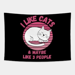 I Like Cats and Maybe 3 People Funny Cat Lover Design Tapestry