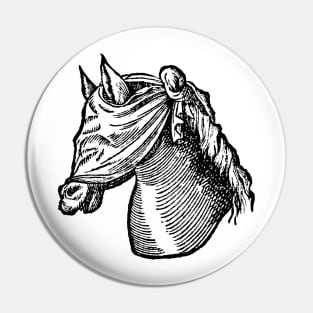 Horse Blindfold Pin