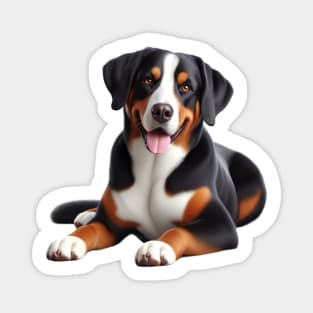 Appenzeller Sennenhund Magnet