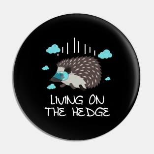 'Living On The Hedge' Cute Hedgehog Gift Pin