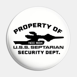 SECURITY Pin