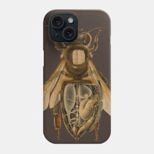 Anatomy of a Bee Phone Case