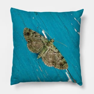 Turquoise Moth Pillow