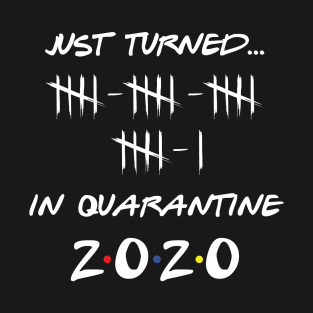 Just Turned 21 In Quarantine Humor Birthday T-Shirt