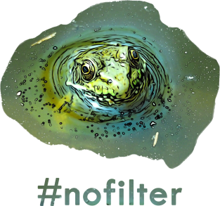 No Filter Frog Magnet