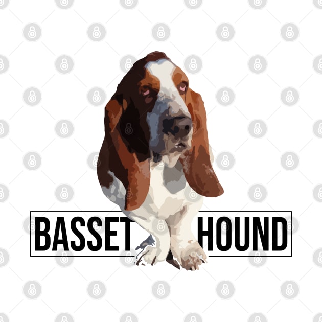 Basset Hound by NV