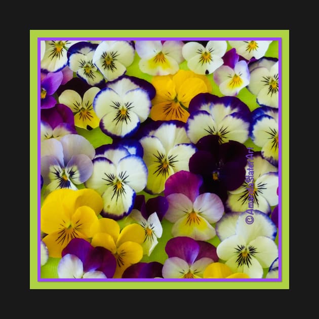 Passion for Pansies by AmandaSlaterArt