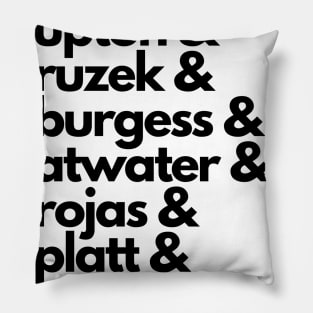 *NEW* Chicago PD Squad Goals Pillow