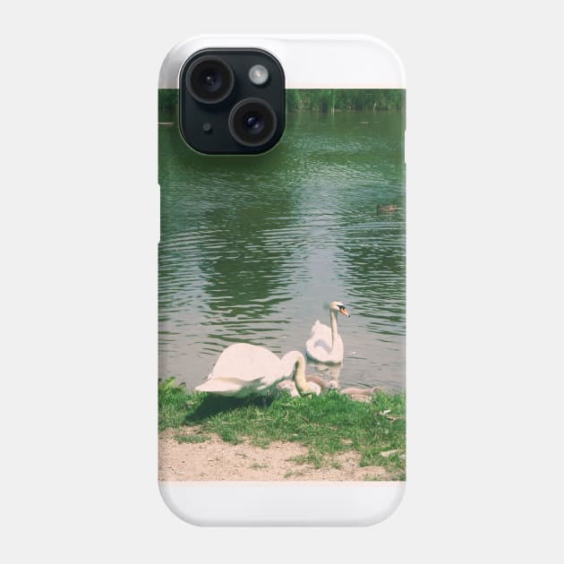 Beautiful Vintage Photography of Swans in Vienna Austria Europe Streets of Vienna Discover new places Travel the world Phone Case by BoogieCreates