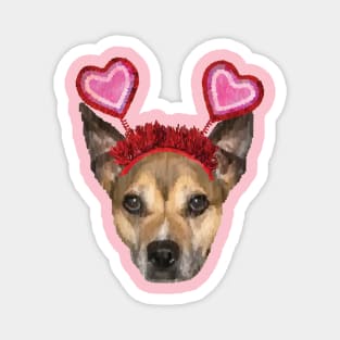 Pitbull Valentine Magnet