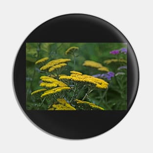 Achillea and the Red Spider Pin