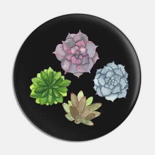 Succulents Pin