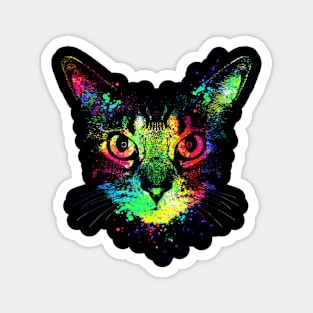 Technicolor Cat Magnet