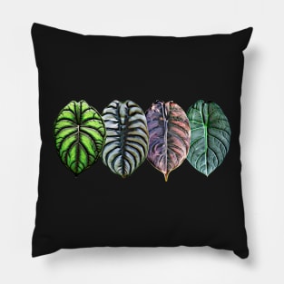 JEWEL ALOCASIA Pillow