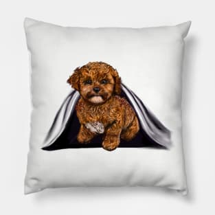 cavalier King Charles spaniel Under cover2 Cavapoochon Cavapoo Cavoodle - Lucky the cute  cavalier King Charles spaniel Bichon frise Pillow